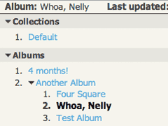 Nested albums